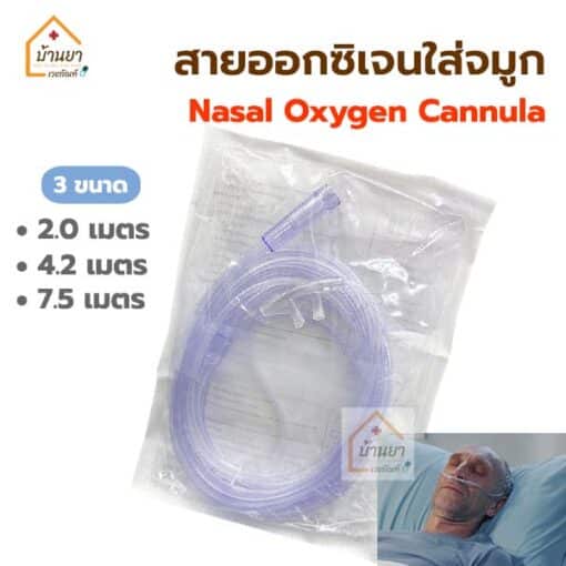 Oxygen Nasal Cannula สายออกซิเจนใส่จมูก